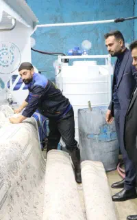 بهترین قالیشویی بجنورد ۱۰۰٪ ضمانتی تحویل ۱ روزه