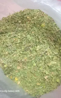 اویشن کوهی جهت دمنوش