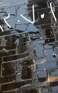 فروش سیمکارت نسل برتر