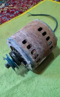 موتوژن درجه یک
