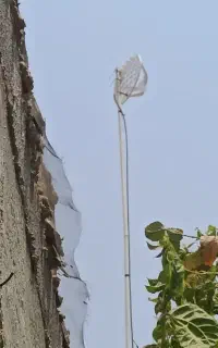 اینترنت بدون سیم