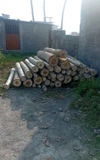 خرید چوب اجرای فضای سبز