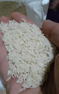 برنج هاشمی سورت شده