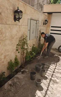 سم پاشی باغبانی تعویض خاک گلدان در تمام نقاط تهران