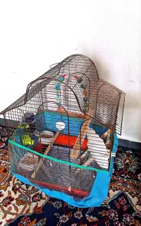 قفس و لانه پرنده