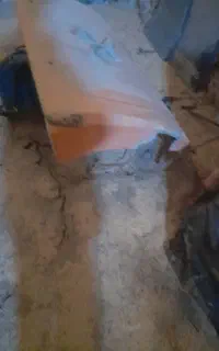 باد گیر خاور