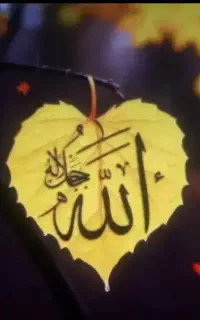 گره. گشا
