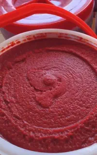 رب گوجه تازه پخت