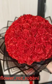 گل روبانی