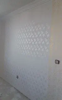 نقاشی و طرح کاغذ دیواری جاهدی