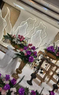 دیجی dj کاملا حرفه‌ای خانم با سابقه 10 ساله