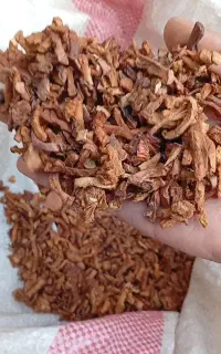 دمنوش سیب و به چای سیب و به تفت داده عمده