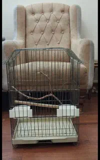 قفس پرنده