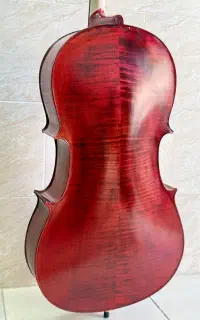 ویولنسل / ویولن سل حرفه ای/شرایط اقساط بدون کارمزد