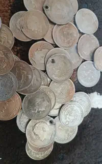 سکه