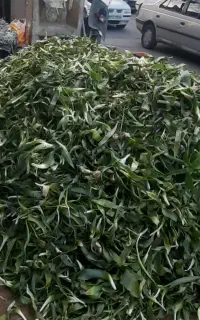 یک نفرفروشنده برای سبزی فروشی زیر۱۸سال نیازمندیم