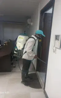 سمپاشی سوسک ساس با بهترین کیفیت و ۱۰۰درصد تضمینی