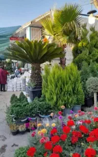 باغبانی کامیونداران احمد آباد نسیم شهر واوان