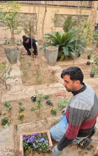 باغبانی سمپاشی هرسکاری سراسر تهران