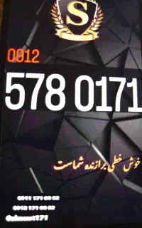09125780171