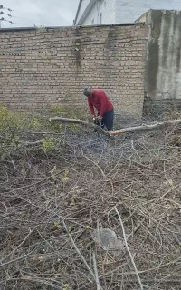 چوبهای باغی