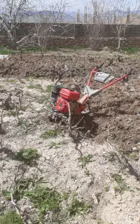 تیلر زنی باغ پذیرفته می‌شود