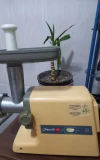 چرخ گوشت ناسیونال‌ وکولر ایستاده