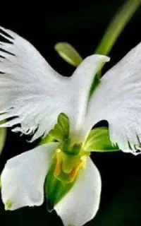 استخدام راننده گریدر از شهرکرد و حومه