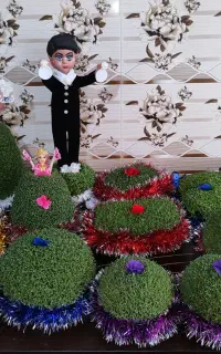 سبزه
