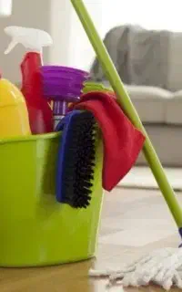 نظافت منزل تا جوشکاری و هرس درخت