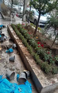 خدمات‌ باغبانی‌ در‌ سراسر‌ تهران