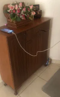 جا کفشی