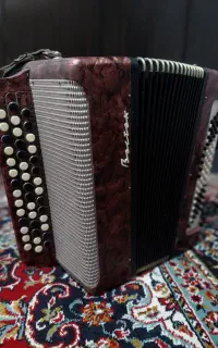 آکاردئون