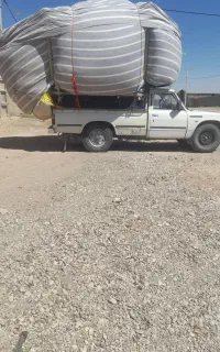 کاه خارزرد
