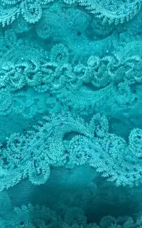 پارچه