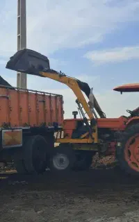 فروش گود گاوی