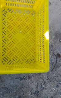 فروش سبد20کیلویی ....