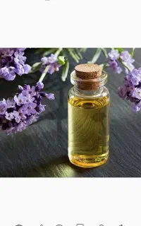 روغن اصل کندش
