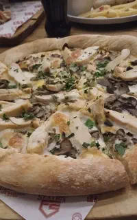 پیک موتوری . سالن دار خانوم