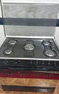 فرگاز سینجر