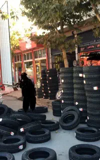 عرضه لاستیک دولتی