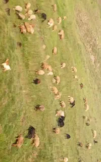 جعفرآباد مغان