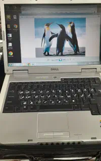 لپتاپ DELL طبق مشخصات تصویری
