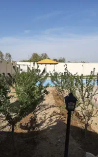 لطفا بخونین