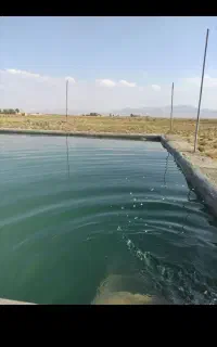 زمین ۲۰۰۰متری همراه با اب ودرخت  دولت آباد
