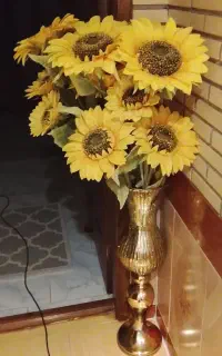 آفتابگردان