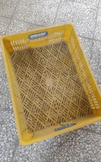 سبد مرغی