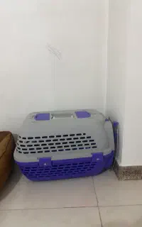 باکس و تخت سگ و گربه
