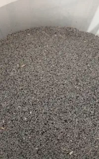 بذر درجه یک