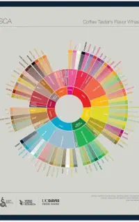 آموزش.باریستایی